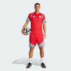 camisa_treino_competition_sc_internacional_26_vermelho_ka5430_25_model - Ride Up Sports